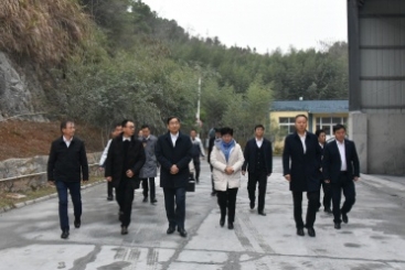 中國(guó)建材集團(tuán)黨委書記、董事長(zhǎng)周育先調(diào)研巨石九江鈣業(yè)公司